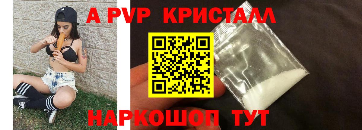 A PVP СК КРИС Сланцы