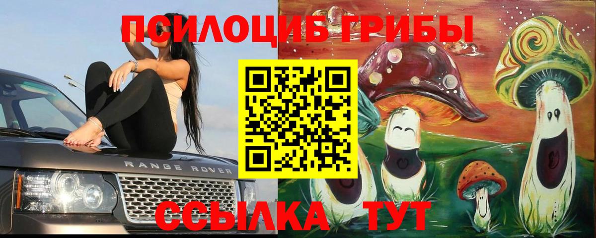 Галлюциногенные грибы GOLDEN TEACHER Сланцы