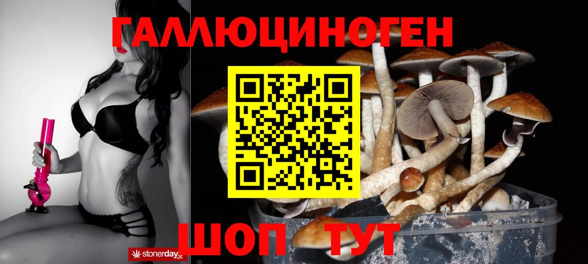Сланцы  Галлюциногенные грибы GOLDEN TEACHER  Вход с VPN 